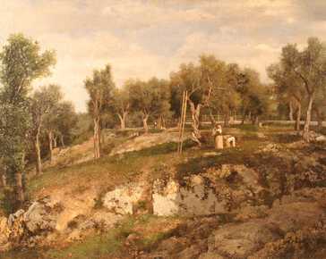 Quercia Federico - The olive harvest
